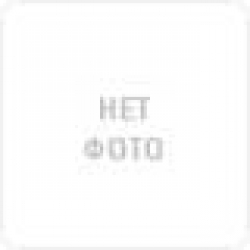 Hansgrohe Штанга Unica Crometta 65 см + шланг 27615000